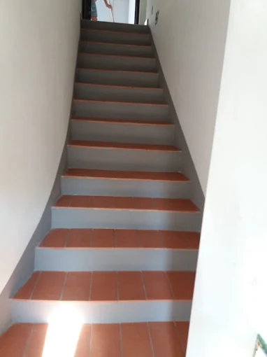 Immagine della Galleria 20